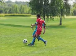 塔图姆,篮板,助攻,九游会官网,九游会J9,九游会娱乐,九游会互动,九游会平台